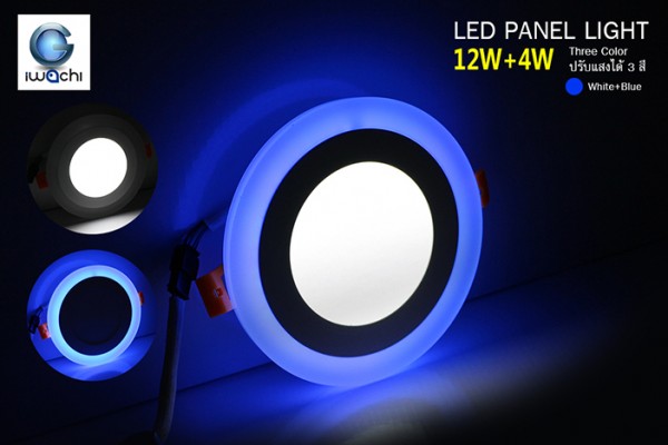 IWACHI-PN-CO-12+4W-R-BL
